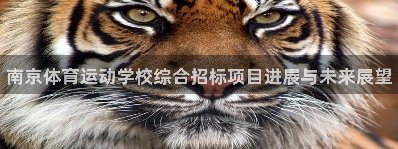 喜乐在线3：南京体育运动学校综合招标项目进展与未来展望