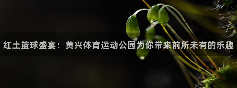喜乐在线体育凯捷登陆：红土篮球盛宴：黄兴体育运动公园为你带来前所未有的乐趣