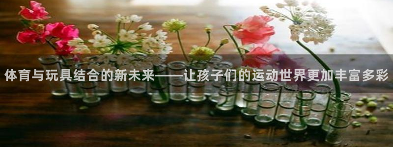 喜乐在线官网入口：体育与玩具结合的新未来——让孩子们的运动世界更加丰富多彩