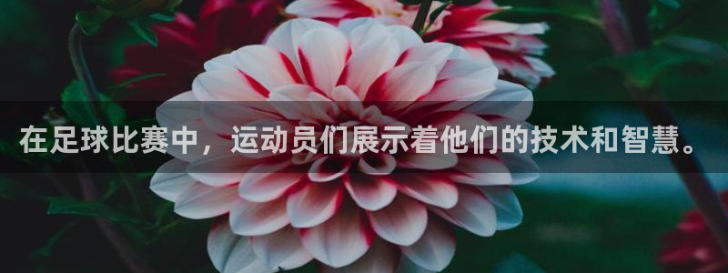 喜乐在线体育合法嘛：在足球比赛中，运动员们展示着他们的技术和智慧。