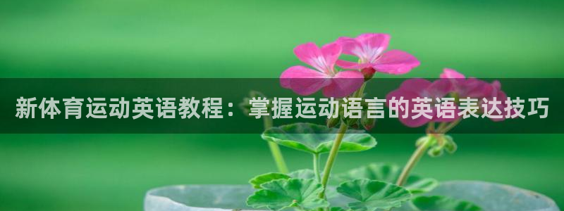 喜乐在线2平台注册：新体育运动英语教程：掌握运动语言的英语表达技巧