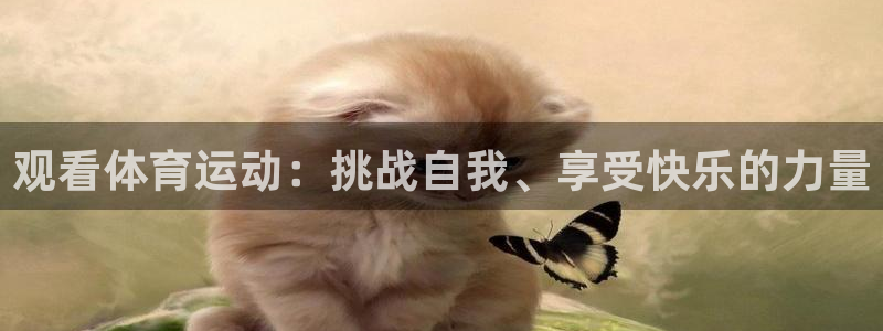 喜乐在线体育2：观看体育运动：挑战自我、享受快乐的力量