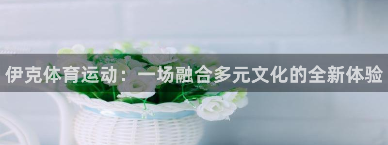 喜乐在线体育凯捷登陆：伊克体育运动：一场融合多元文化的全新体验