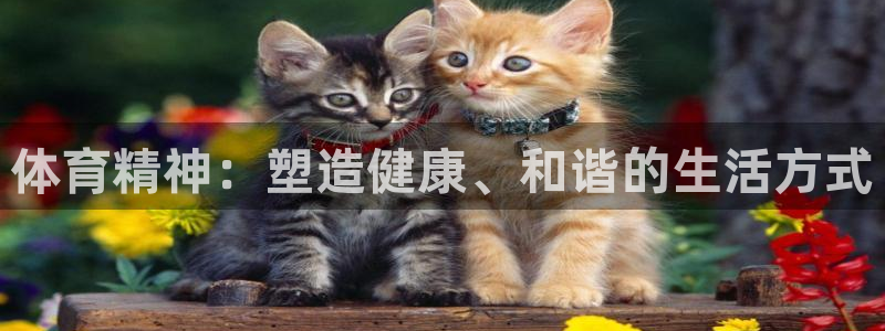 意昂新能源汽车科技有限公司：体育精神：塑造健康、和谐的生活方式