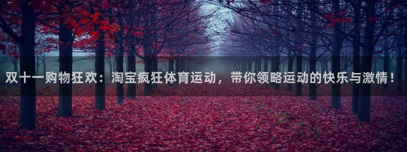 www.喜乐在线体育.com：双十一购物狂欢：淘宝疯狂体育运动，带你领略运动的快