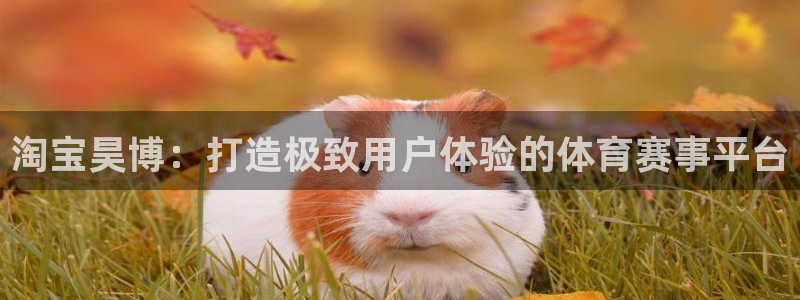 喜乐在线代理注册官网入口：淘宝昊博：打造极致用户体验的体育赛事平台