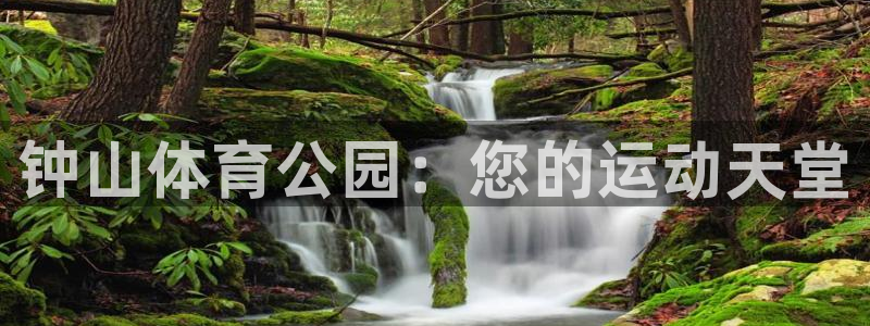 意昂体育3：钟山体育公园：您的运动天堂