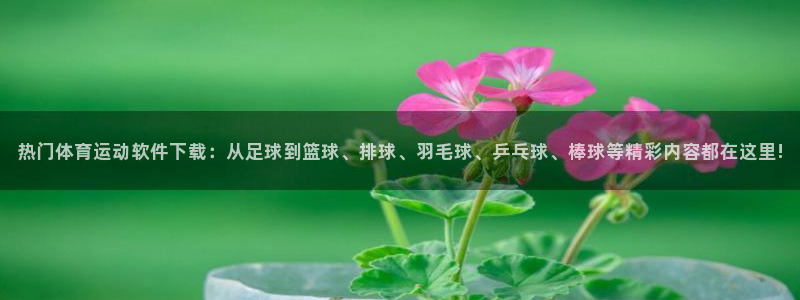 喜乐在线平台总代理：热门体育运动软件下载：从足球到篮球、排球、羽毛球、乒乓球、棒