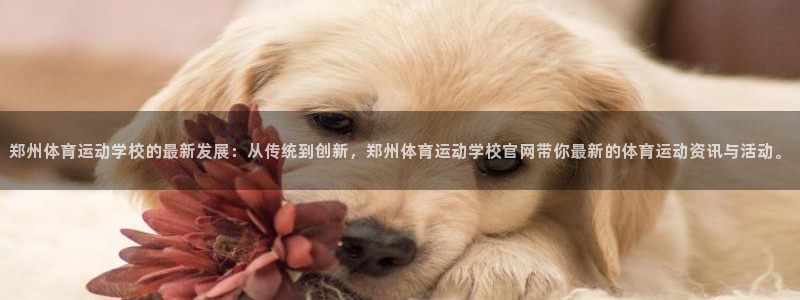 喜乐在线体育热门赛事有哪些：郑州体育运动学校的最新发展：从传统到创新，郑州体育运动学校官网带你最新的体育运动资讯与活动。