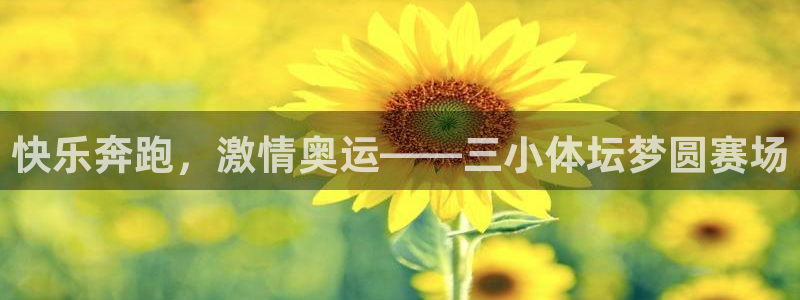 意昂体育3：快乐奔跑，激情奥运——三小体坛梦圆赛场