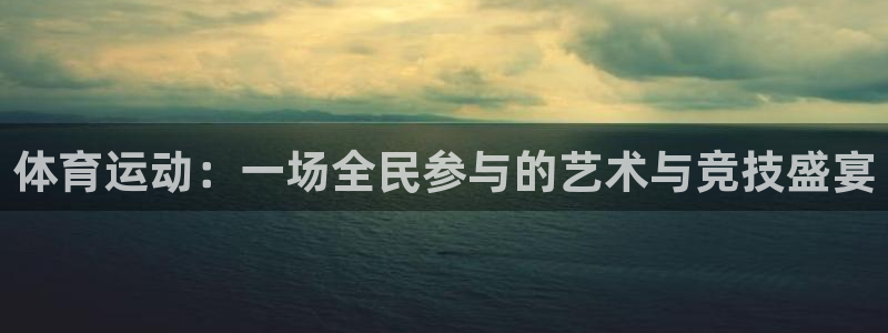 上海喜乐在线汽车电子有限公司：体育运动：一场全民参与的艺术与竞技盛宴