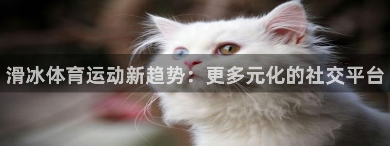 意昂注册：滑冰体育运动新趋势：更多元化的社交平台
