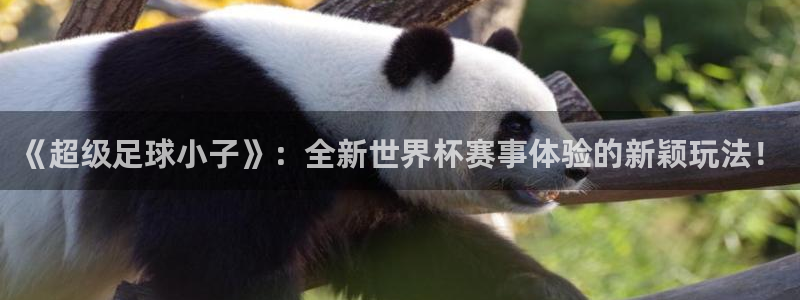 福建意昂机电股份公司：《超级足球小子》：全新世界杯赛事体验的新颖玩法！