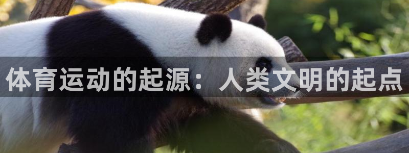 意昂官网：体育运动的起源：人类文明的起点