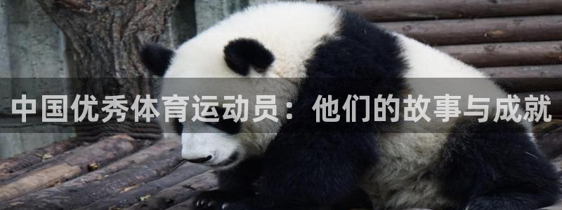 杭州意昂科技有限公司：中国优秀体育运动员：他们的故事与成就