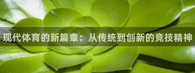 喜乐在线2登录地址：现代体育的新篇章：从传统到创新的竞技精神