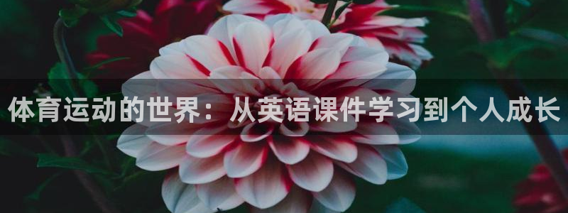 意昂5注册：体育运动的世界：从英语课件学习到个人成长