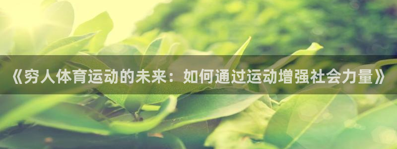 喜乐在线官网：《穷人体育运动的未来：如何通过运动增强社会力量》