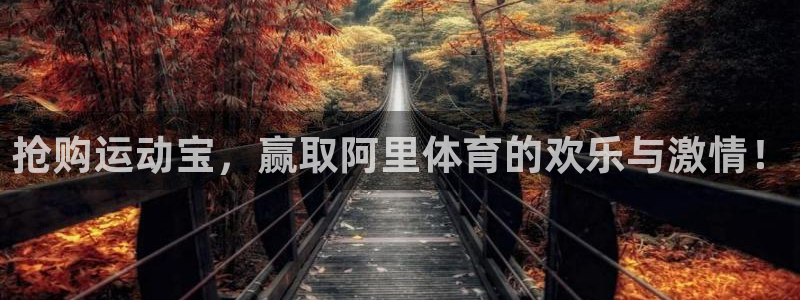 意昂：抢购运动宝，赢取阿里体育的欢乐与激情！