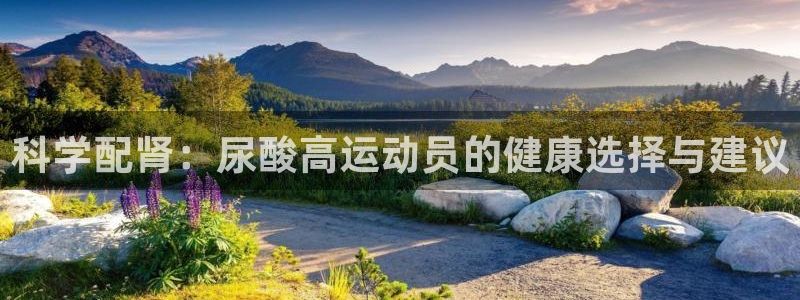 喜乐在线2平台：科学配肾：尿酸高运动员的健康选择与建议
