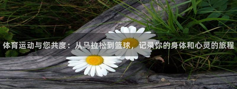 意昂3平台注册：体育运动与您共度：从马拉松到篮球，记录你的身体和心灵的旅程