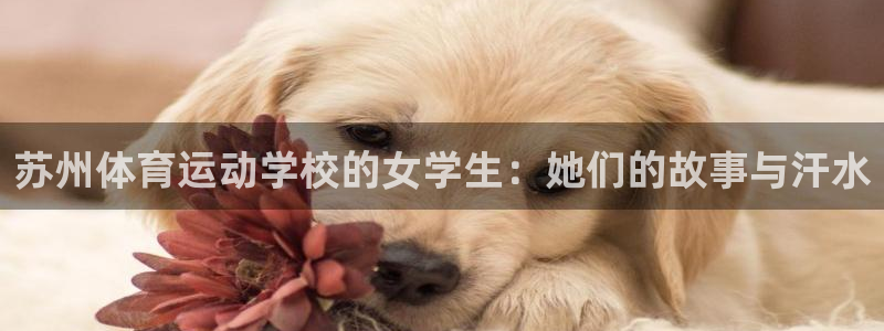 喜乐在线体育：苏州体育运动学校的女学生：她们的故事与汗水
