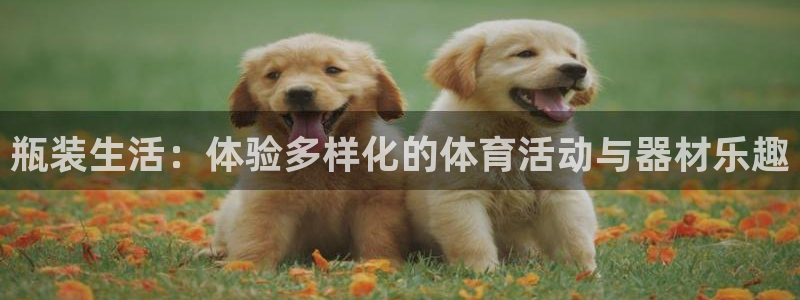 喜乐在线2登录地址：瓶装生活：体验多样化的体育活动与器材乐趣