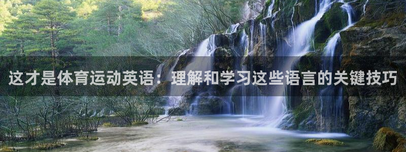 喜乐在线5招商：这才是体育运动英语：理解和学习这些语言的关键技巧