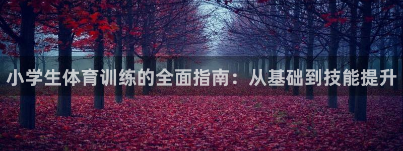 广州市意昂智能科技有限公司：小学生体育训练的全面指南：从基础到技能提升